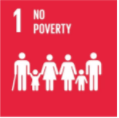 What We Do sdg1 - What We Do