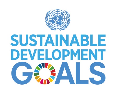 sustainable development goals scaled - Partners