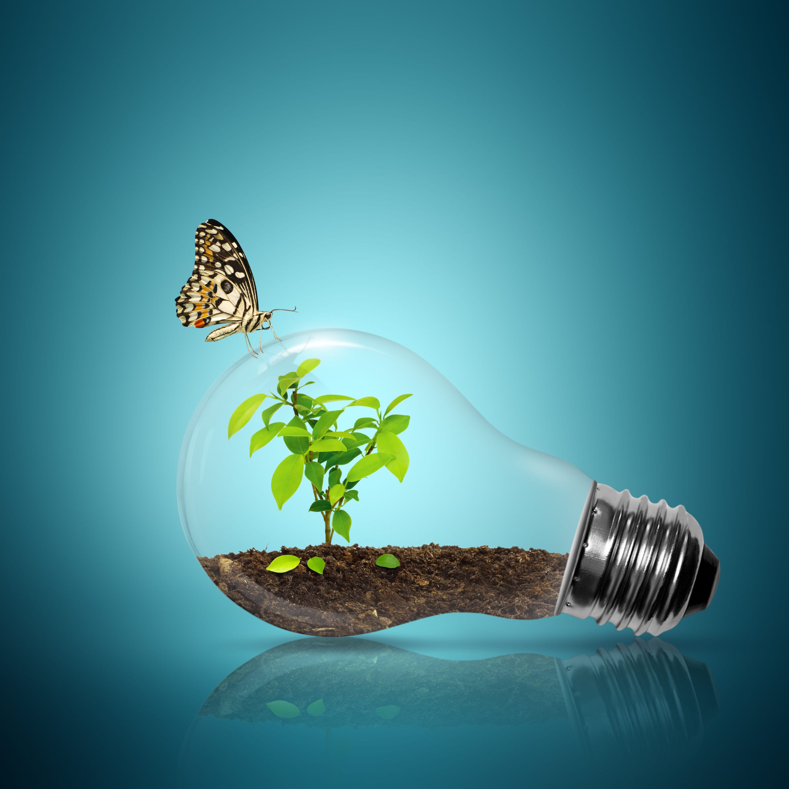 shutterstock 92251027 scaled - Special Brief Summary: The Caterpillar's Edge