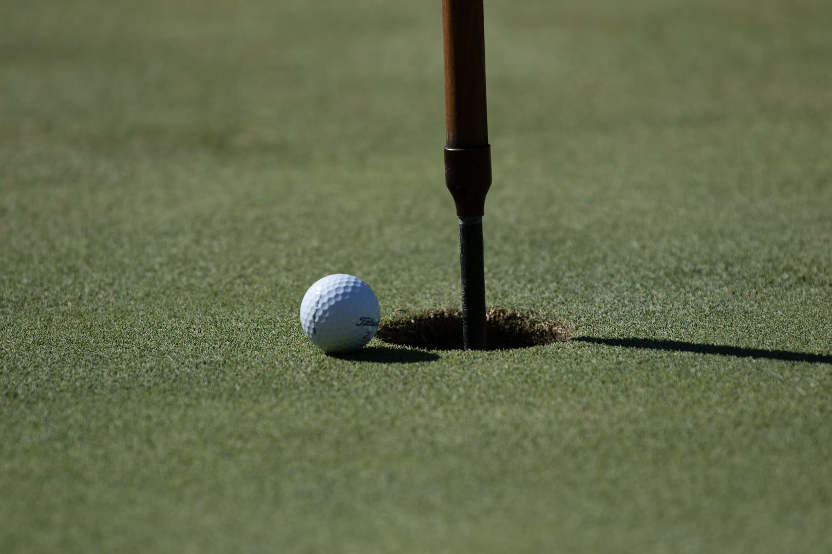 Avasant Foundation Golf For Impact 2019