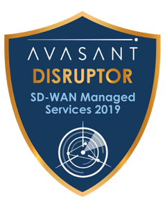 SD WAN Disruptor Badge - RadarView™ Packages