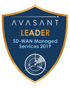 SD WAN Leader Badge - RadarView™ Packages