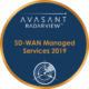 SD WAN Managed Services 2019 Circle 80x80 - Old What We Do RadarView&trade;
