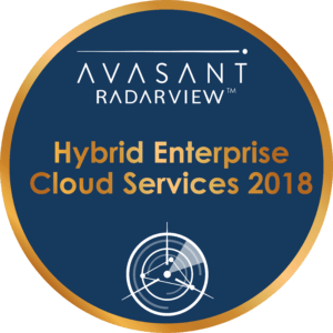 hybrid enterprise cloud services 2018 - Old What We Do RadarView™