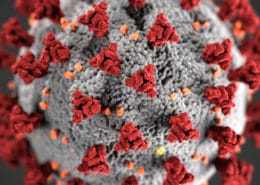 Coronavirus 700 260x185 - Coronavirus Resource Center Old Theme