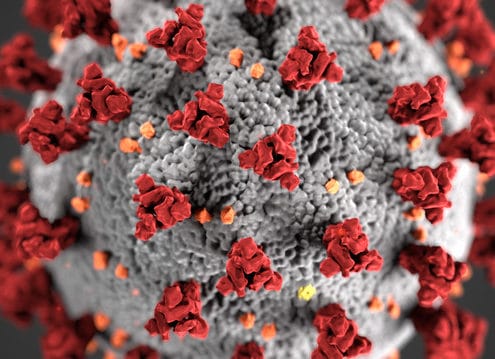 Coronavirus 700 495x359 - Empowering Beyond Events Old Theme