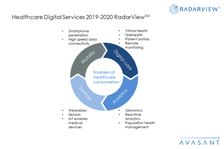RV Additional Image1 Healthcare2019 2020 450x300 - Healthcare Digital Services 2019-2020 RadarView™