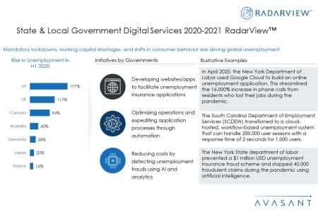 Additional Image3 StateLocalGovtDigitalServices2020 21 450x300 - State & Local Government Digital Services 2020-2021 RadarView™