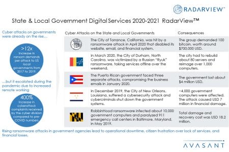 Additional Images4 StateLocalGovtDigitalServices2020 21 - State & Local Government Digital Services 2020-2021 RadarView™