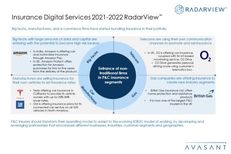 Additional Image2 InsuranceDigitalServices2021 2022 - Insurance Digital Services 2021-2022 RadarView™