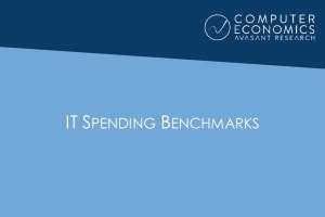 IT Spending Benchmarks - IT Spending and Staffing Benchmarks 2019/2020: Chapter 25: Online Retail Subsector Benchmarks
