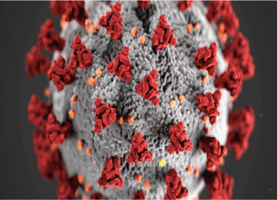 covidr - Blunting the Effects of Pandemic-Induced Travel Restrictions on Offshore Service Delivery