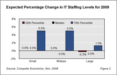 ACF8186 - IT Salary Growth Slowing But Still Positive in 2009