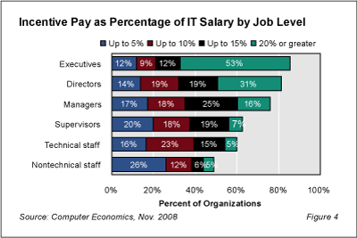 ACF8191 - IT Salary Growth Slowing But Still Positive in 2009