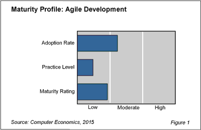Agile Fig1 - Agile Development Practices Still Immature
