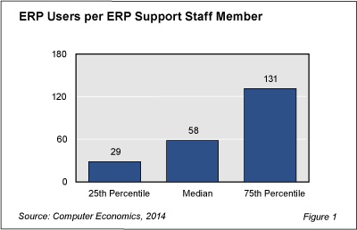 ERP Staffing Fig 1 - ERP Support Requirements Range Widely