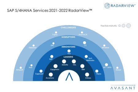 MoneyShot SAP S4HANA Services 2021 2022 RadarView - SAP S/4HANA Services 2021–2022 RadarView™