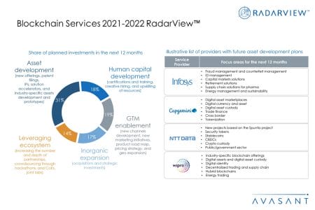 Additional Image4 Blockchain Services 2021 2022 - Blockchain Services 2021–2022 RadarView™