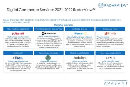 Additional Image2 Digital Commerce Services 2021 2022 - Digital Commerce Services 2021–2022 RadarView™