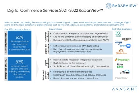 Additional Image3 Digital Commerce Services 2021 2022 450x300 - Digital Commerce Services 2021–2022 RadarView™