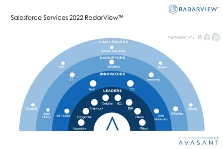 MoneyShot Salesforce Services 2022 RadarView - Salesforce Services 2022 RadarView™