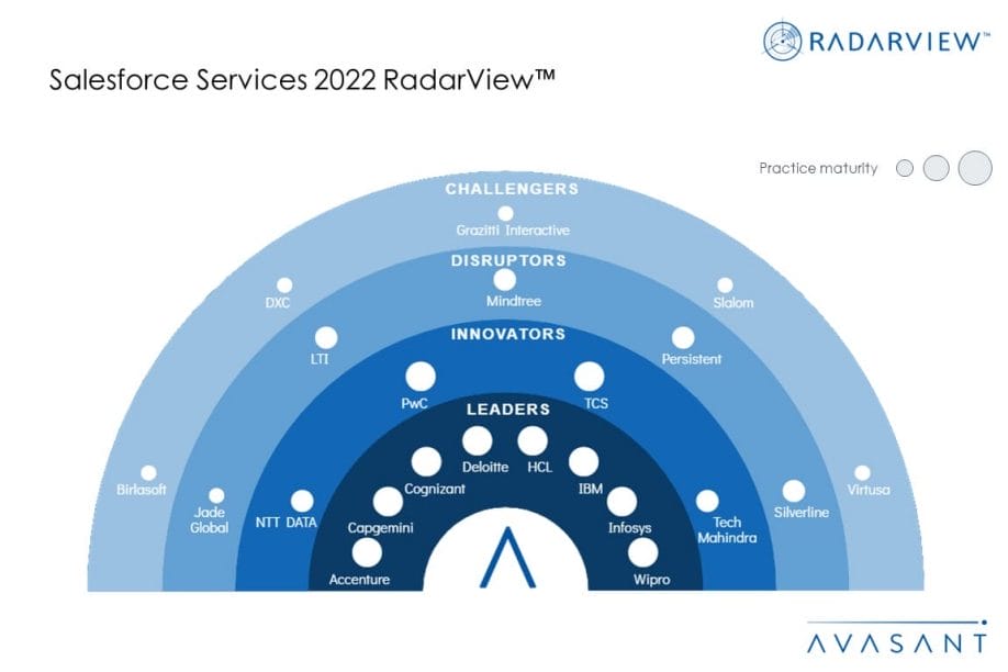 MoneyShot Salesforce Services 2022 RadarView 1030x687 - Salesforce Services 2022 RadarView™
