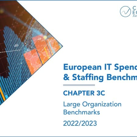 European Product Image 05 450x450 - European IT Spending and Staffing Benchmarks 2022/2023: Chapter 3C: Large Organization Benchmarks