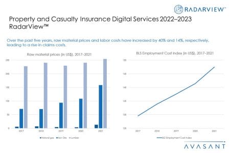 Additional Image1 Property and Casualty Insurance Digital Services 2022–2023  - Property and Casualty Insurance Digital Services 2022–2023 RadarView™