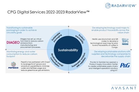 Additional Image3 CPG Digital Services 2022–2023 RadarView 450x300 - CPG Digital Services 2022–2023 RadarView™