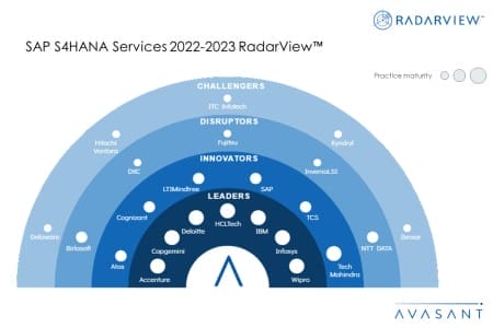 MoneyShot SAP S4HANA Services 2022 2023 RadarView 450x300 - SAP S/4HANA Services 2022–2023 RadarView™