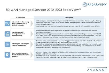 Slide3 1 - SD-WAN Managed Services 2022–2023 RadarView™