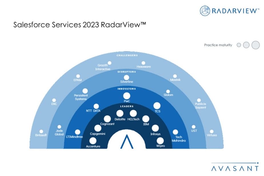 MoneyShot Salesforce Services 2023 RadarView 1030x687 - Salesforce Services 2023 RadarView™