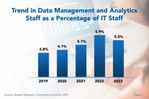 Data Management RB 300x200 - Data Management and Analytics Staffing Ratios 2023