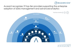 Money Shot Data Management and Advanced Analytics Services 2023 - Data Management and Advanced Analytics Services: Providers Pivot toward Data Visualization and Monetization