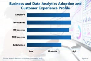 Business and Data Analytics Adoption and Customer Experience Profile 3 300x200 - Business and Data Analytics Adoption Trends and Customer Experience 2024