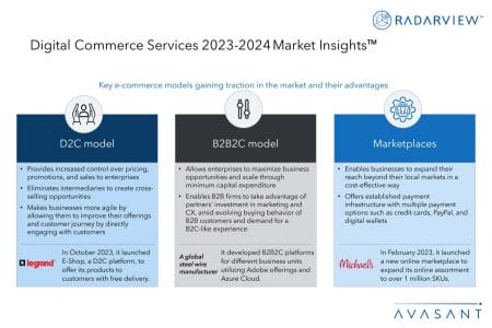 Additional Image1 Digital Commerce Services 2023 2024 Market Insights - Digital Commerce Services 2023–2024 Market Insights™