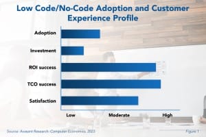 Business and Data Analytics 300x200 - Low-Code/No-Code Adoption Trends and Customer Experience 2024