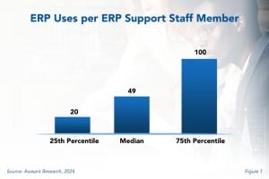 ERP Users per ERP 300x200 - ERP Support Staffing Ratios 2024
