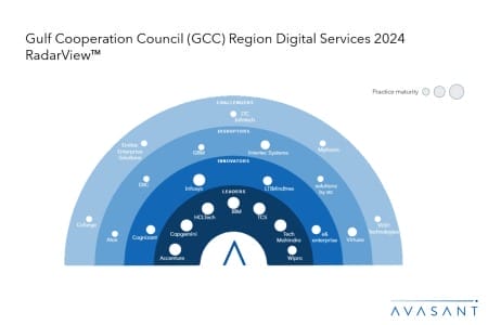 Slide1 2 3 450x300 - Gulf Cooperation Council (GCC) Region Digital Services 2024 RadarView™