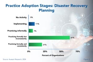 Practice adoption Stages Disaster Recovery  300x200 - Disaster Recovery Planning Best Practices 2024