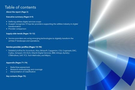 TOC 450x300 - Utilities Digital Services 2024 RadarView™