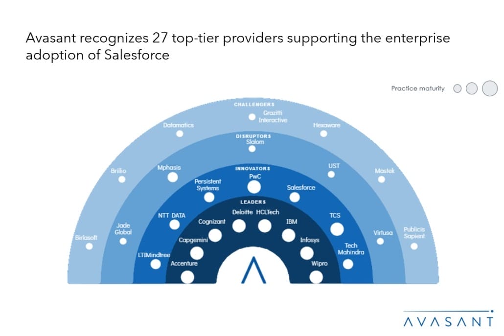 Moneyshot 9 1030x687 - Salesforce Services 2024 RadarView™