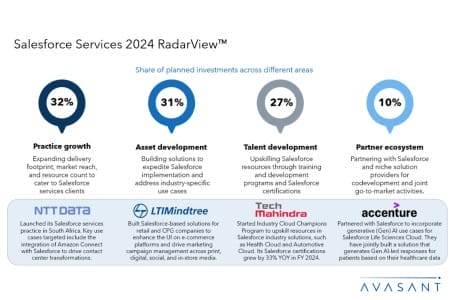 Slide2 15 450x300 - Salesforce Services 2024 RadarView™