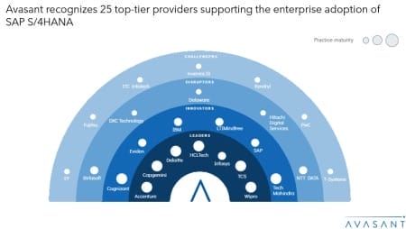 Moneyshot View SAP S4HANA Services 2024 2025 RadarView 1 450x254 - Avasant SAP S/4HANA Services 2024–2025 RadarView™