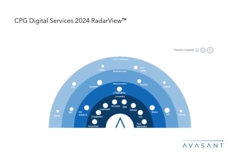 Slide1 19 450x300 - CPG Digital Services 2024 RadarView™