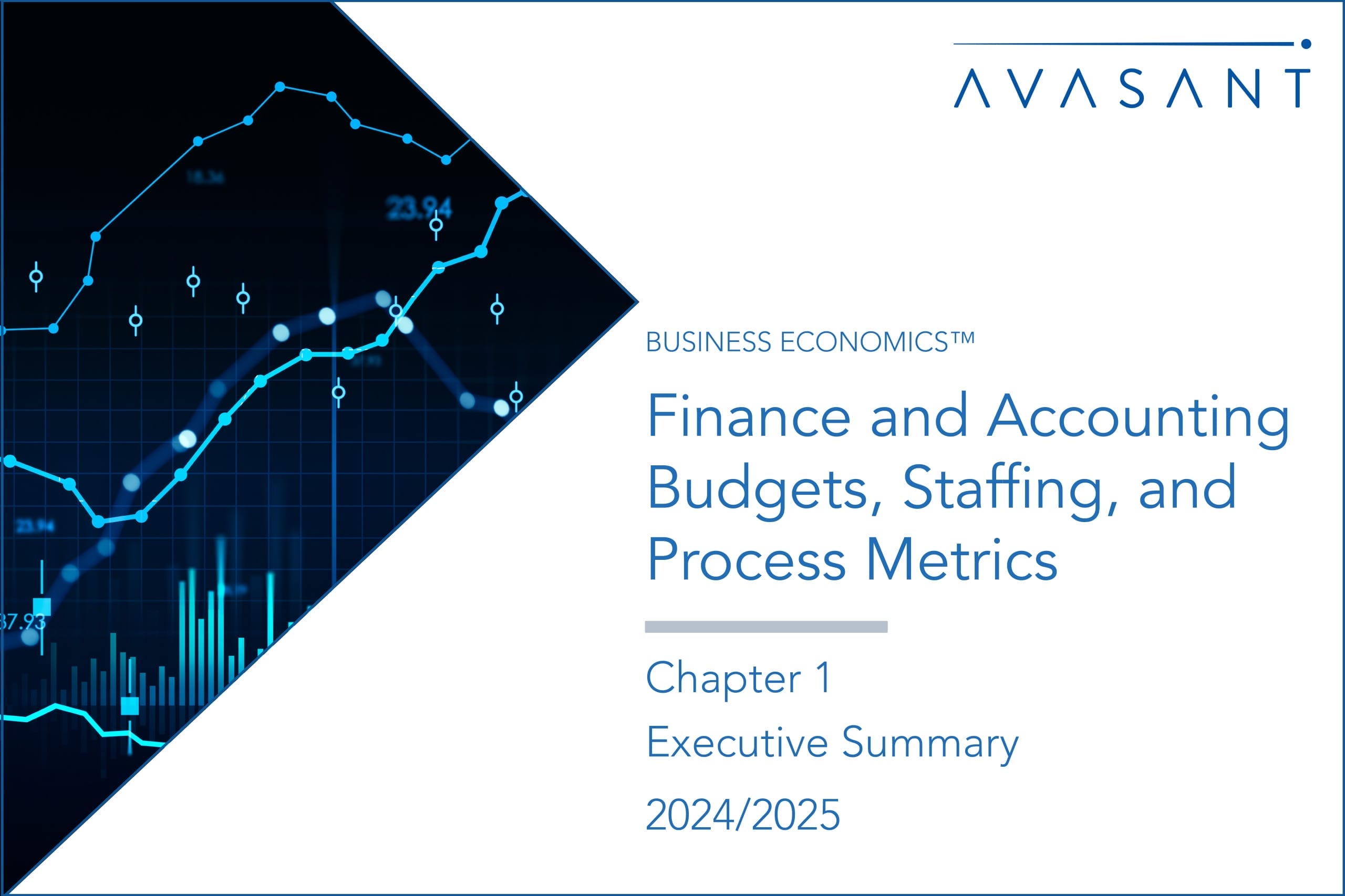 Finance and Accounting Budgets, Staffing, and Process Metrics 2024/2025