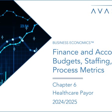 Finance and Accounting Budgets, Staffing, and Process Metrics 2024/2025: Chapter 6: Healthcare Payors FA Accounting Product Image 06 450x450 - Finance and Accounting Budgets, Staffing, and Process Metrics 2024/2025: Chapter 6: Healthcare Payors