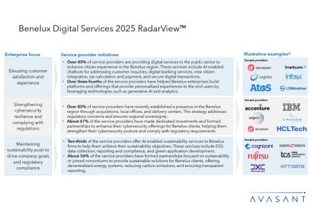 Slide2 2 450x300 - Benelux Digital Services 2025 RadarView™