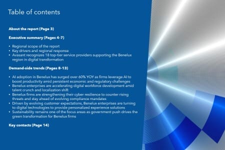 TOC 1 450x300 - Benelux Digital Services 2025 Market Insights™