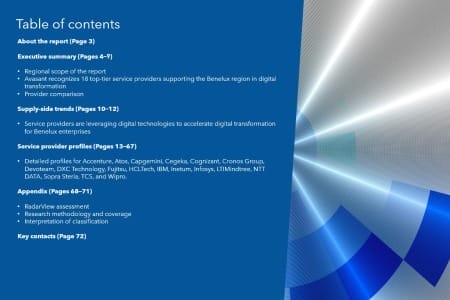 TOC 450x300 - Benelux Digital Services 2025 RadarView™